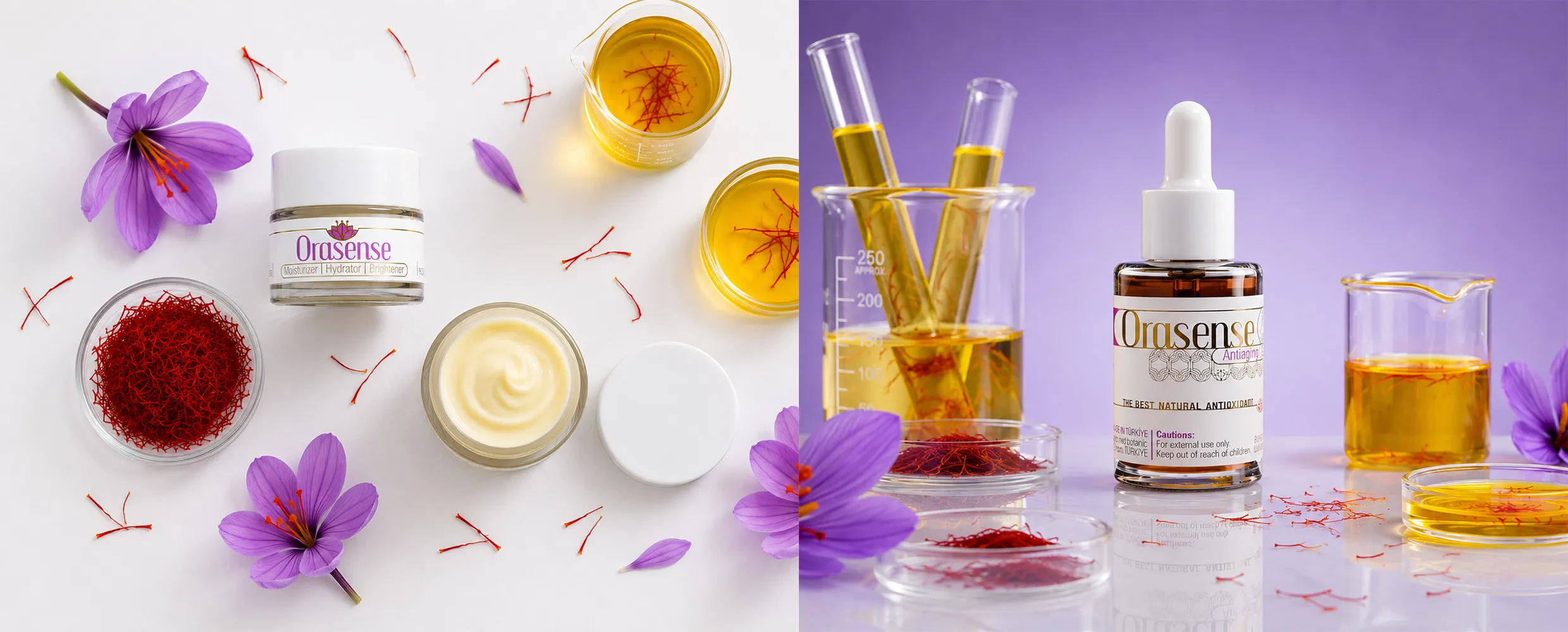 Bottle of Orasense saffron antioxidant serum surrounded by laboratory glassware, saffron threads, and purple saffron flowers on a light purple background. Top view of Orasense saffron moisturizing cream with saffron threads, purple saffron flowers, and saffron-infused liquid on a white background.